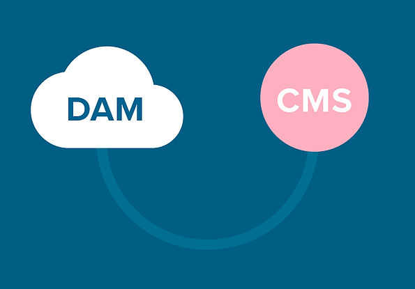 Digital Asset Management und CMS - Übersicht Workflows in Wordpress und Typo3